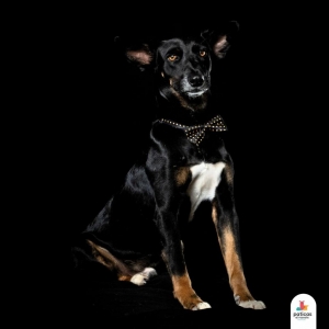 ADOPTA A RANDY_8