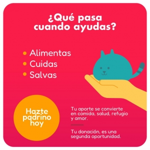 Plan Padrino Amigos para Siempre_1