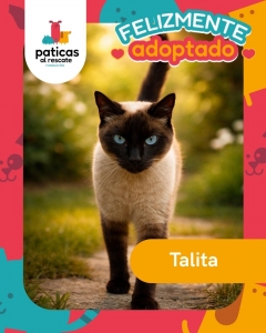 Adopta a Talita_8