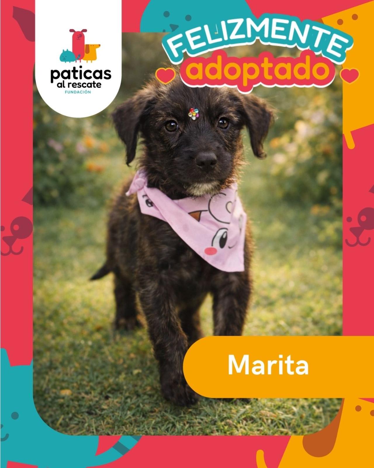 ADOPTA A MARITA_8