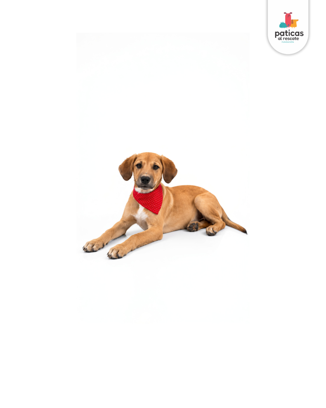 ADOPTA A SALOMÓN_5