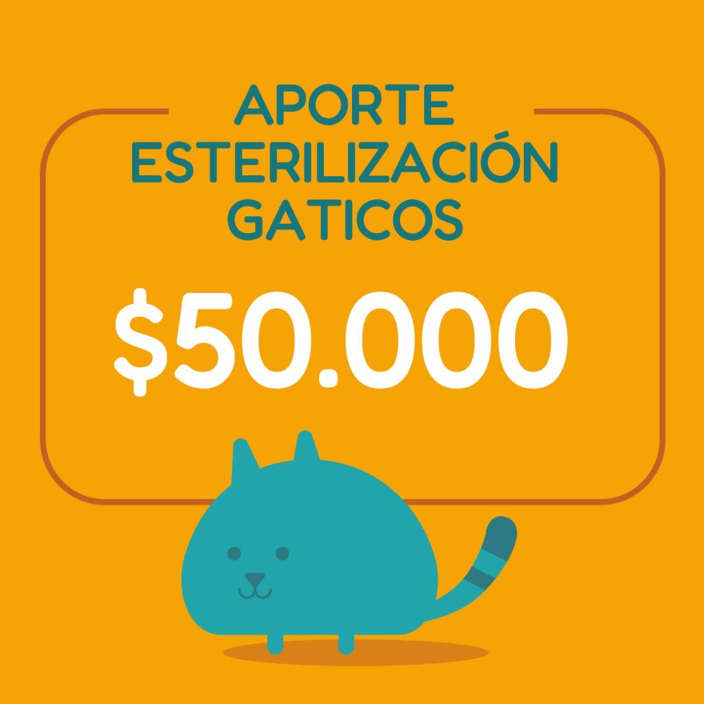 APORTA UNA ESTERILIZACIÓN DE GATICOS - Paticas al Rescate