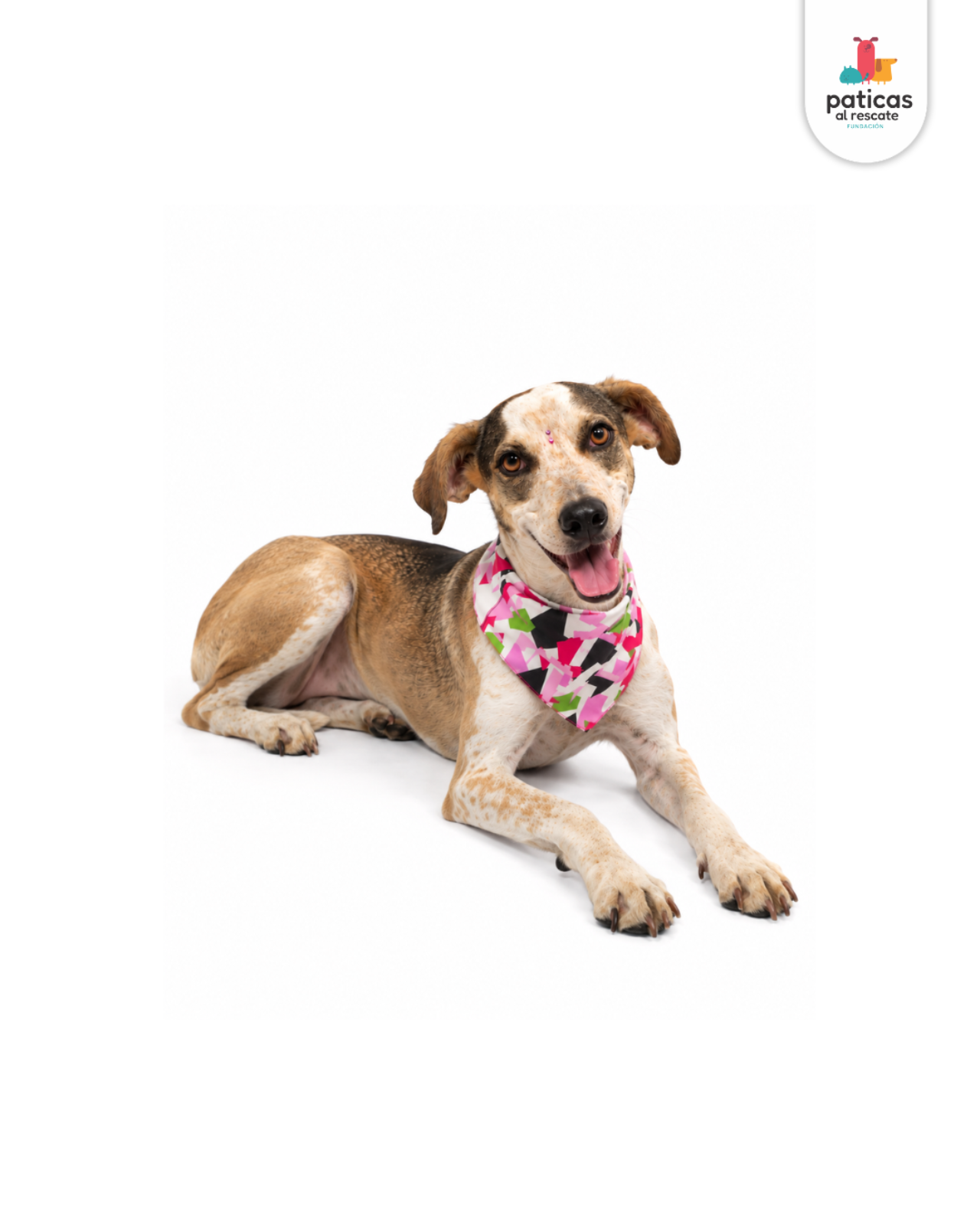 ADOPTA A MARGARITA_4