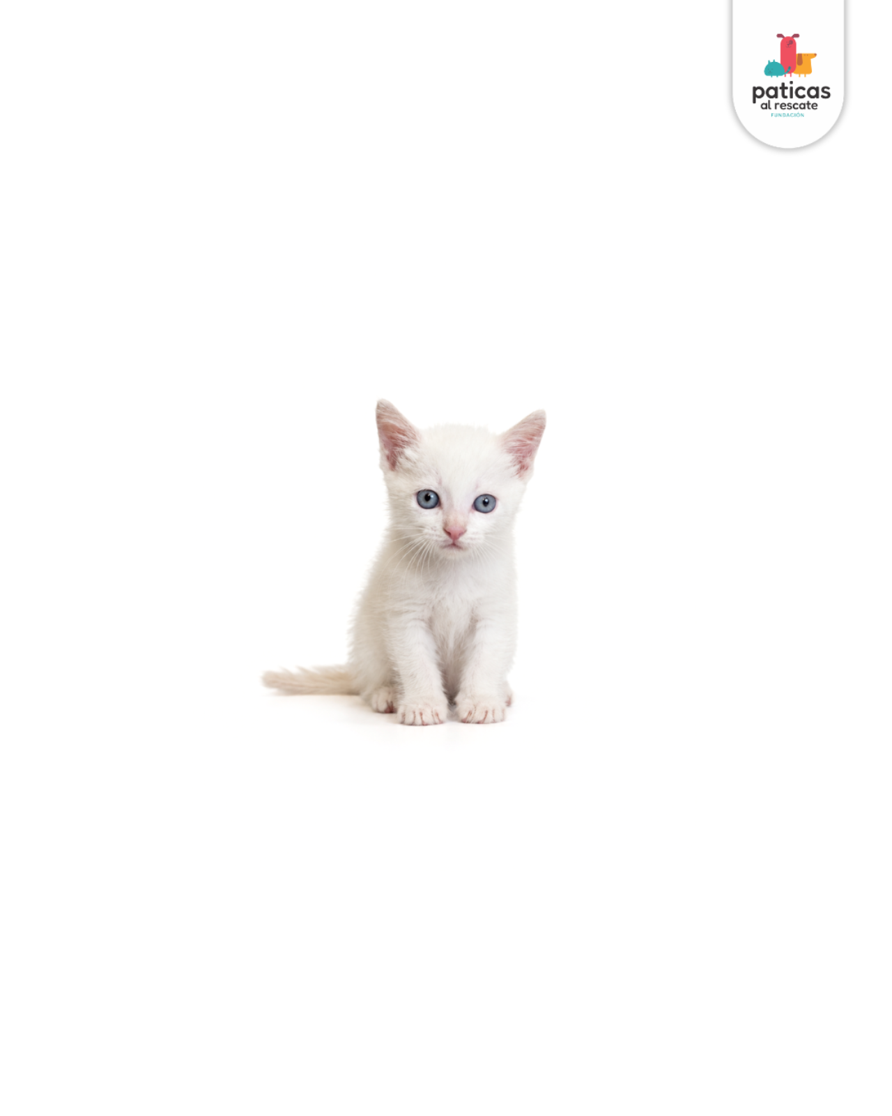 ADOPTA A MAIA_2