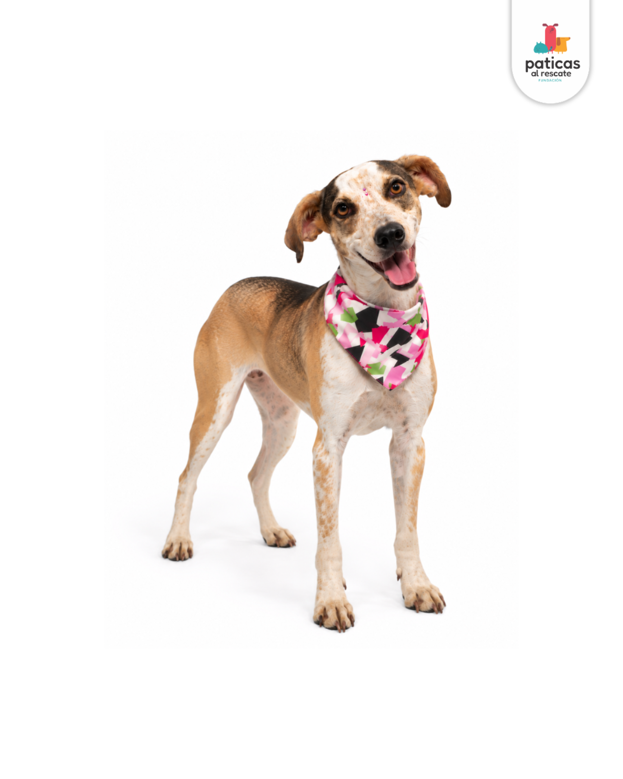 ADOPTA A MARGARITA_7