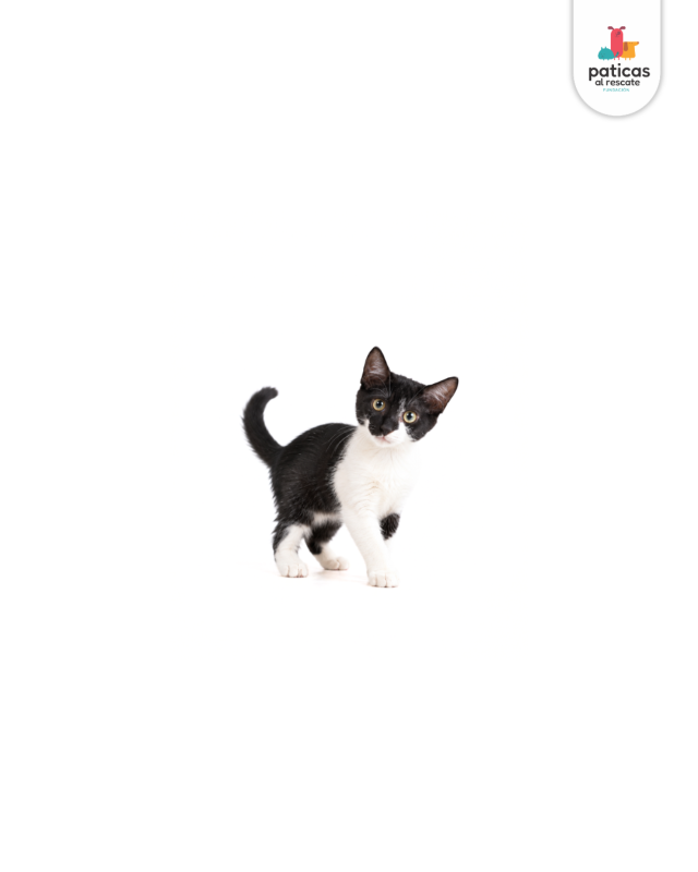 ADOPTA A ELY_5
