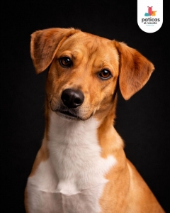 ADOPTA A SERAFÍN_5
