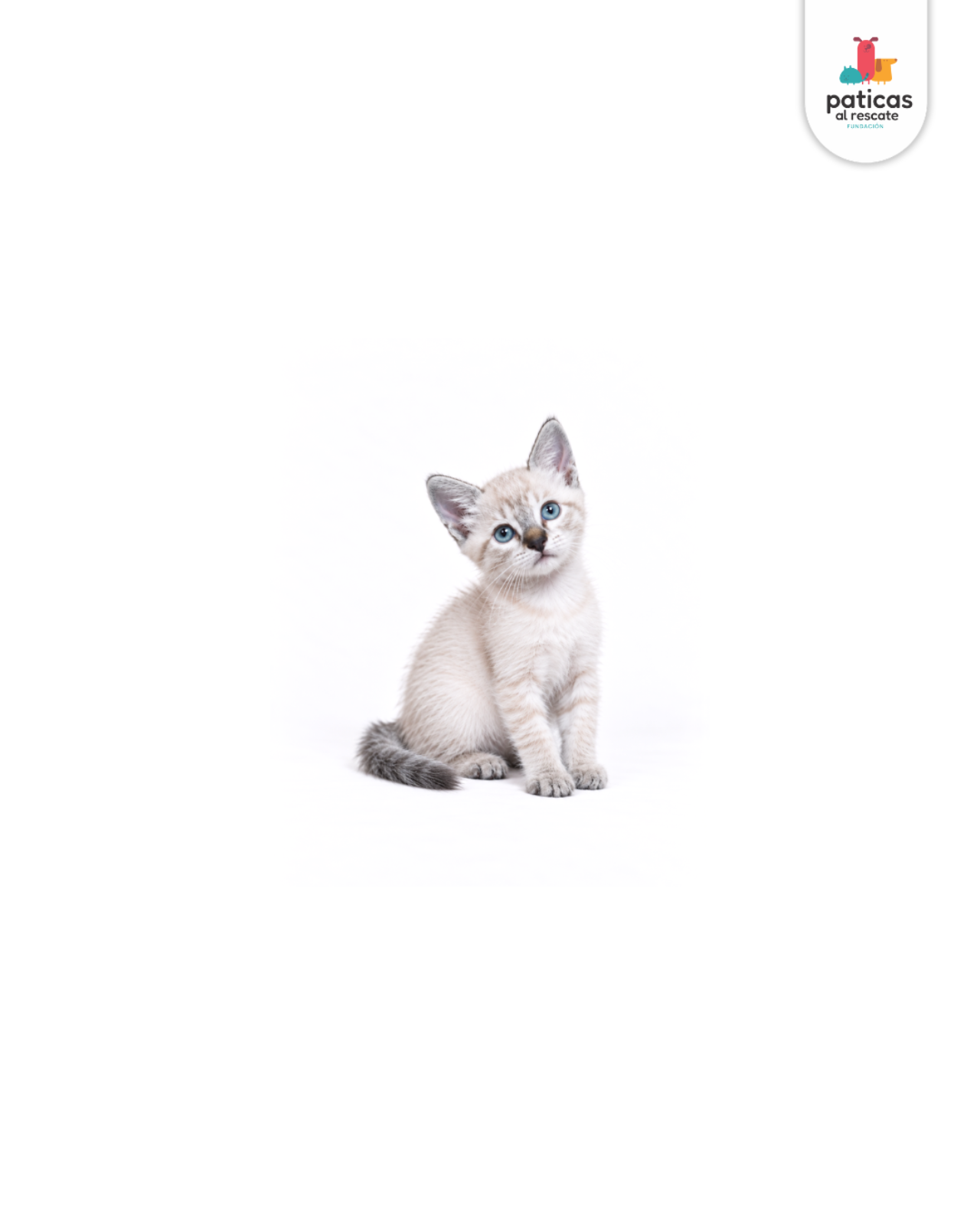 ADOPTA A NINI_7