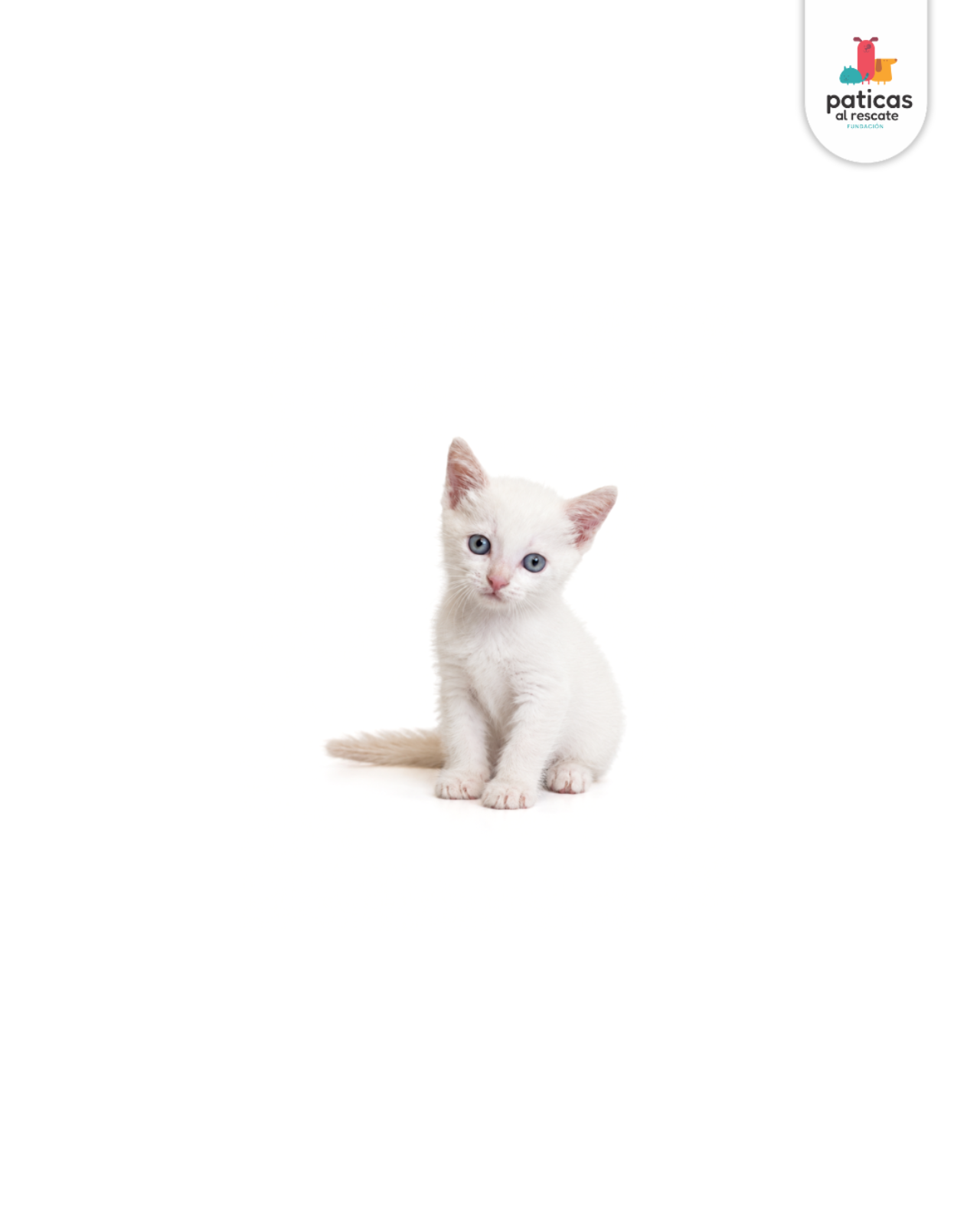 ADOPTA A MAIA_4