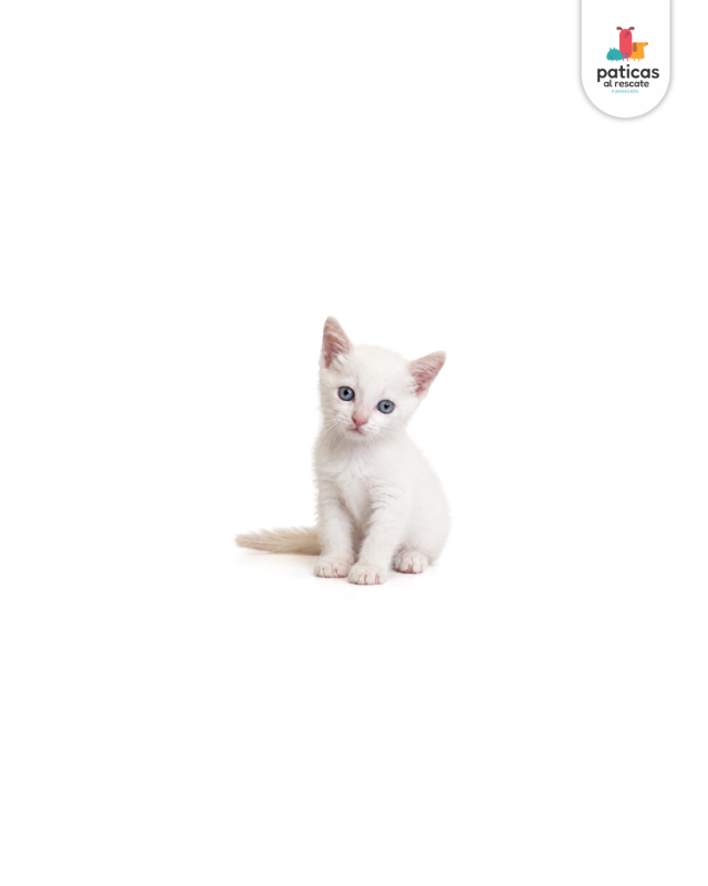 ADOPTA A MAIA_4