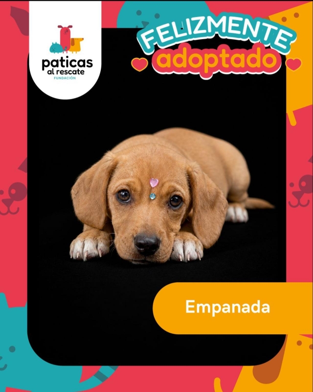 ADOPTA A EMPANADA_10