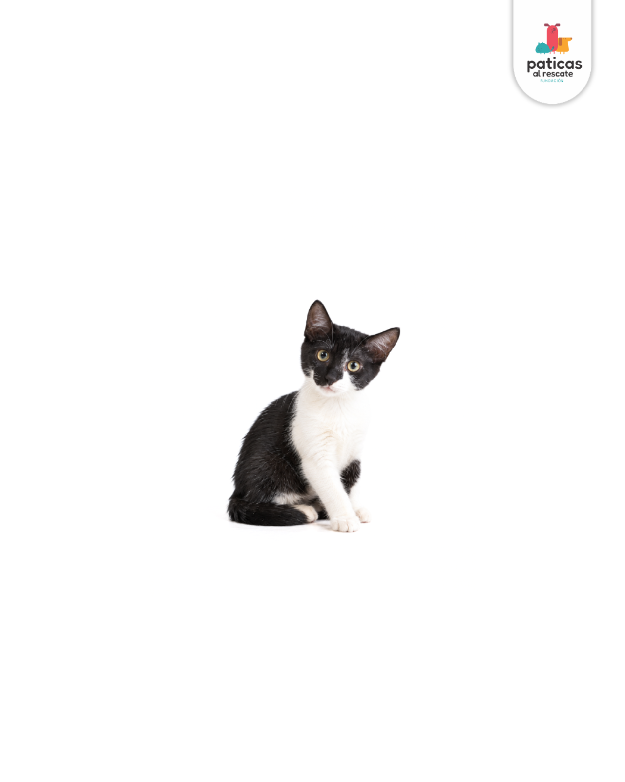 ADOPTA A ELY_6