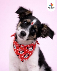ADOPTA A MENTA_8