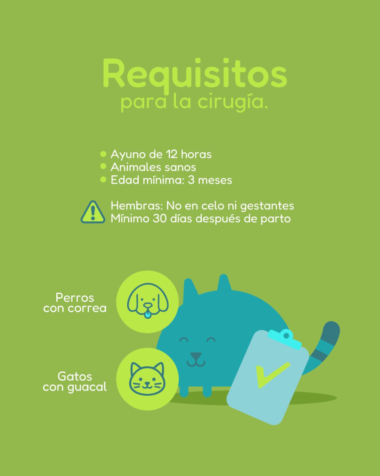 JORNADA DE ESTERILIZACIÓN – VÉLEZ SANTANDER_3