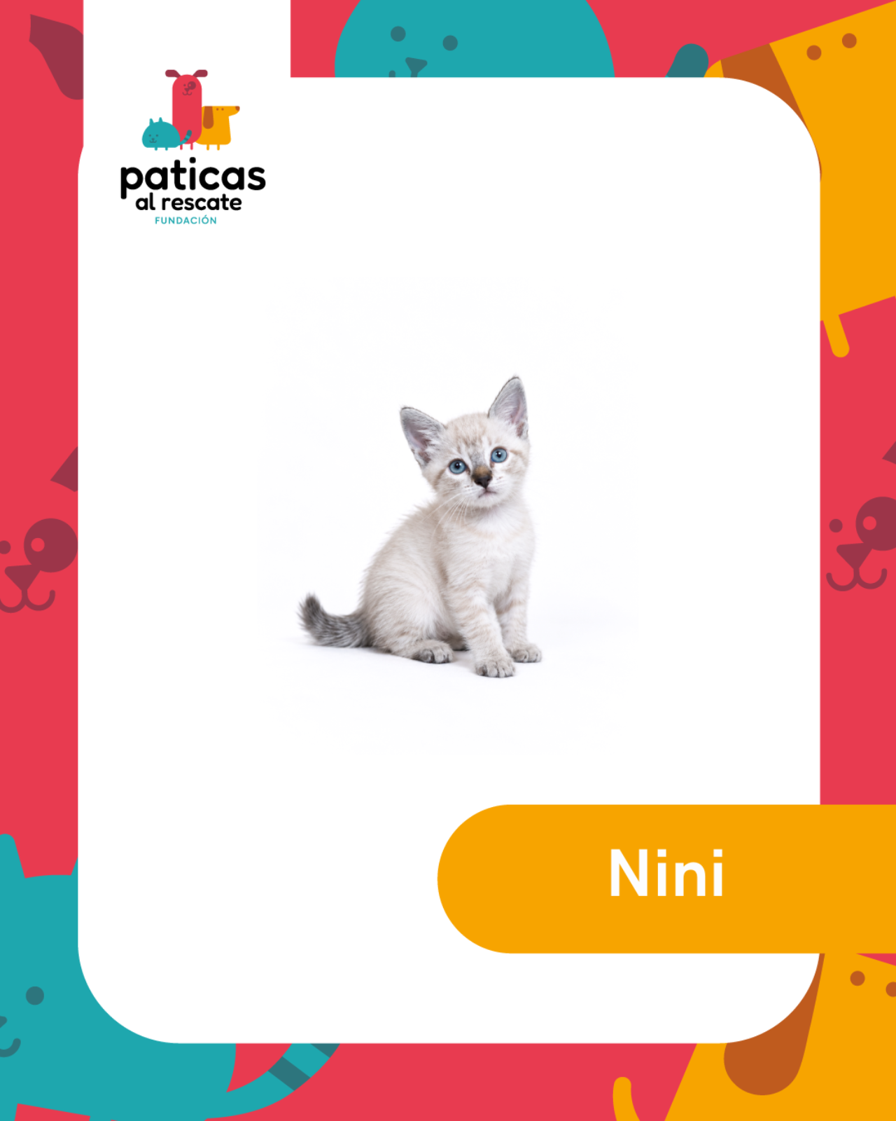 ADOPTA A NINI_1