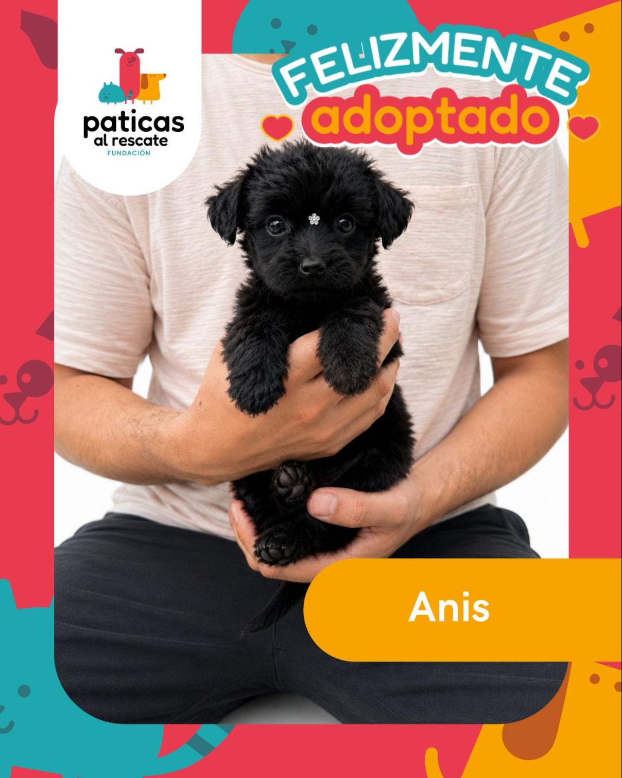 ADOPTA A ANÍS_1