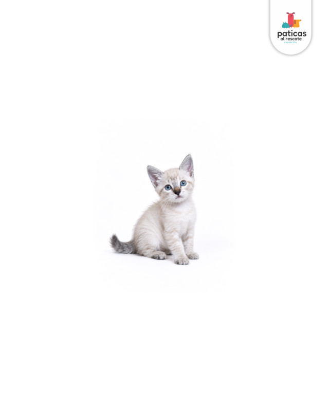 ADOPTA A NINI_4