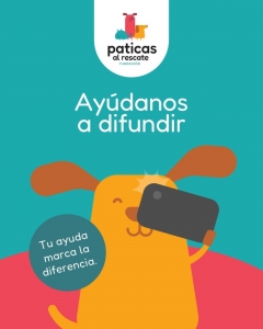 ADOPTA A ROMERITO_6