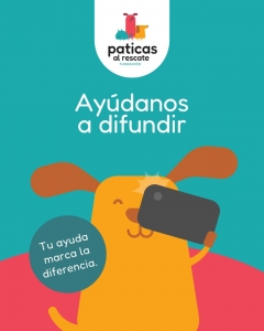 ADOPTA A LOS BOMBONCITOS_8