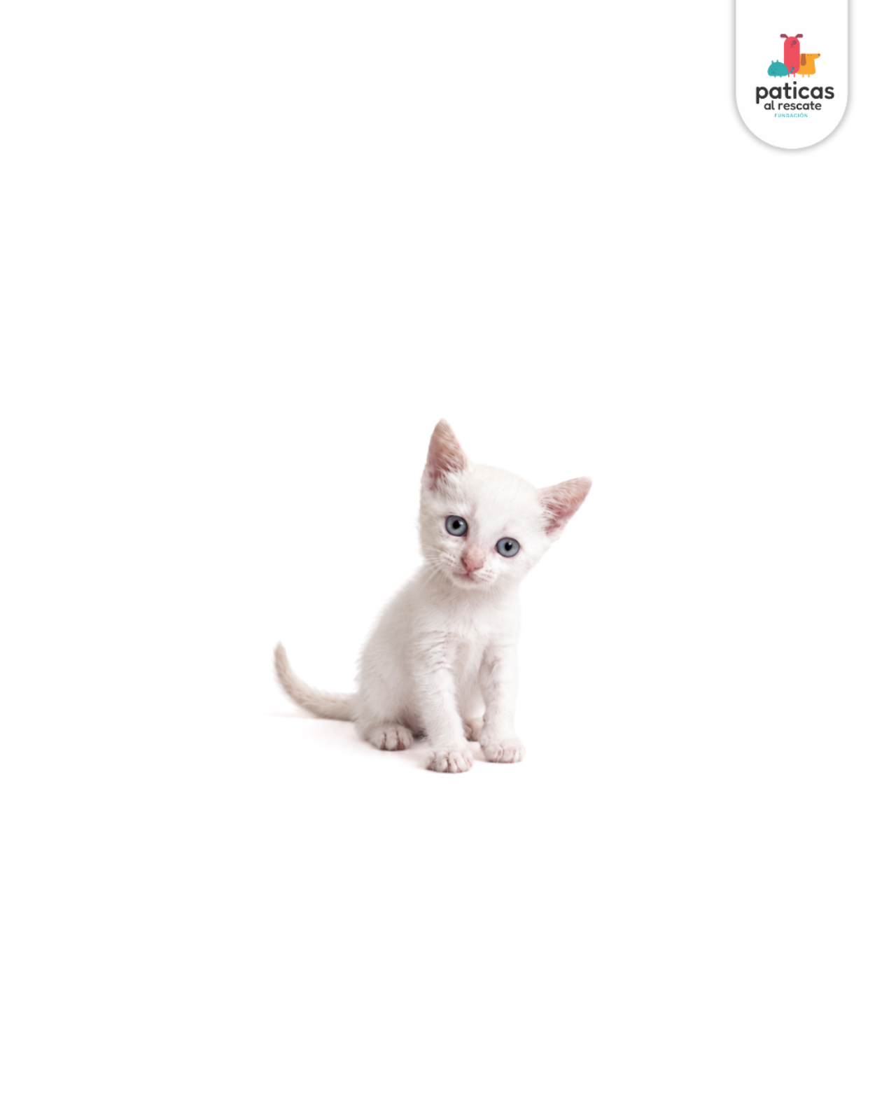 ADOPTA A MAIA_6