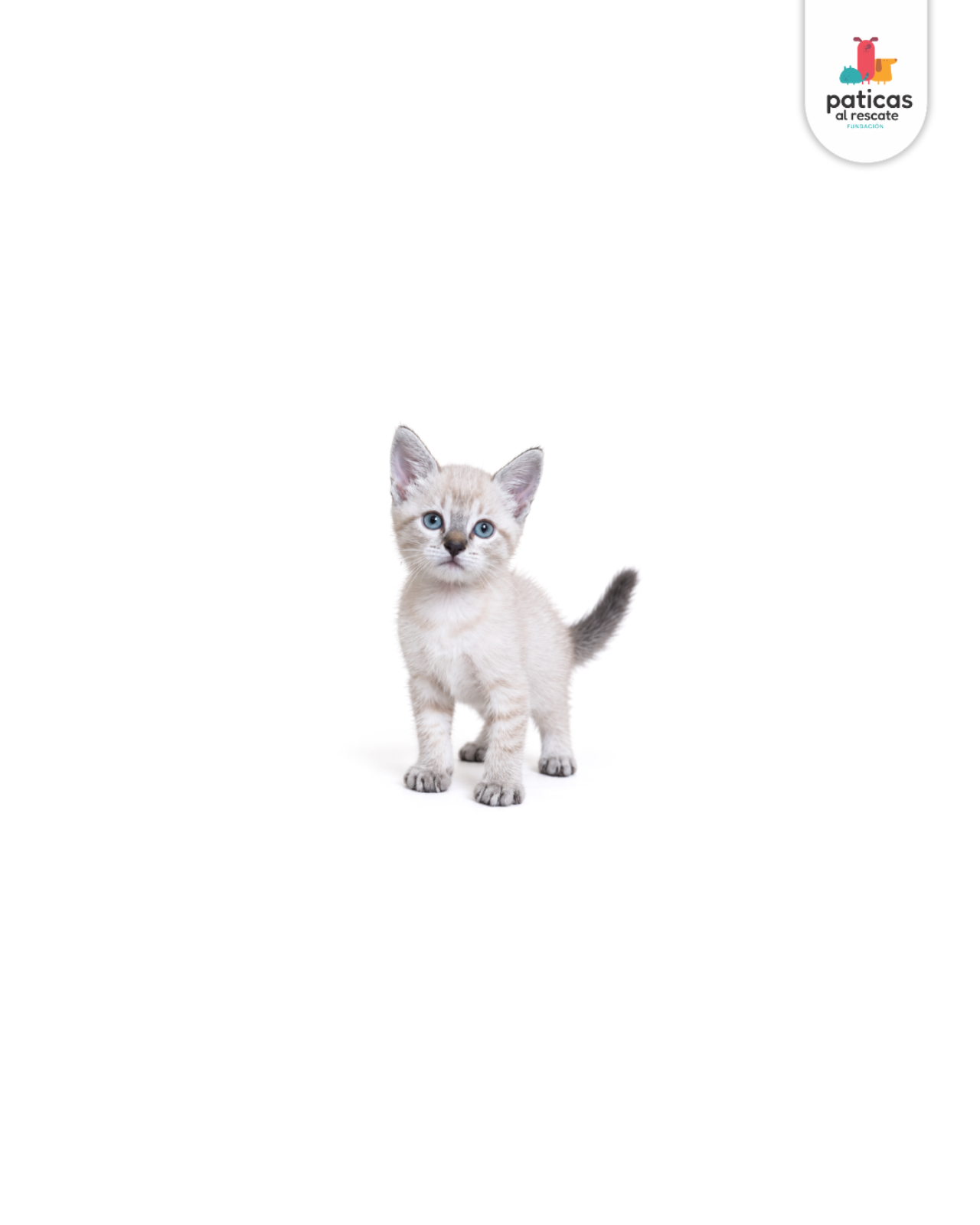 ADOPTA A NINI_2