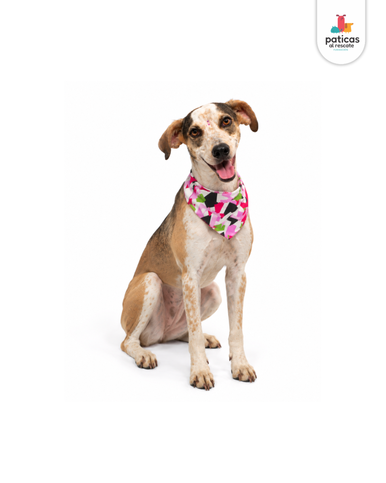 ADOPTA A MARGARITA_6