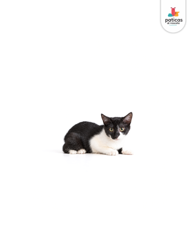 ADOPTA A ELY_7