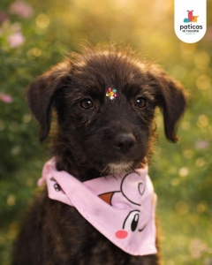 ADOPTA A MARITA_1