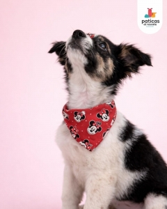 ADOPTA A MENTA_4