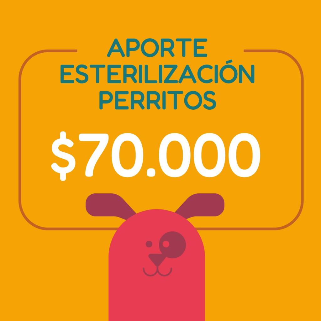 APORTA UNA ESTERILIZACIÓN DE PERRITOS  - Paticas al Rescate