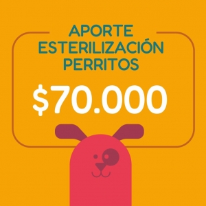 APORTA UNA ESTERILIZACIÓN DE PERRITOS _2