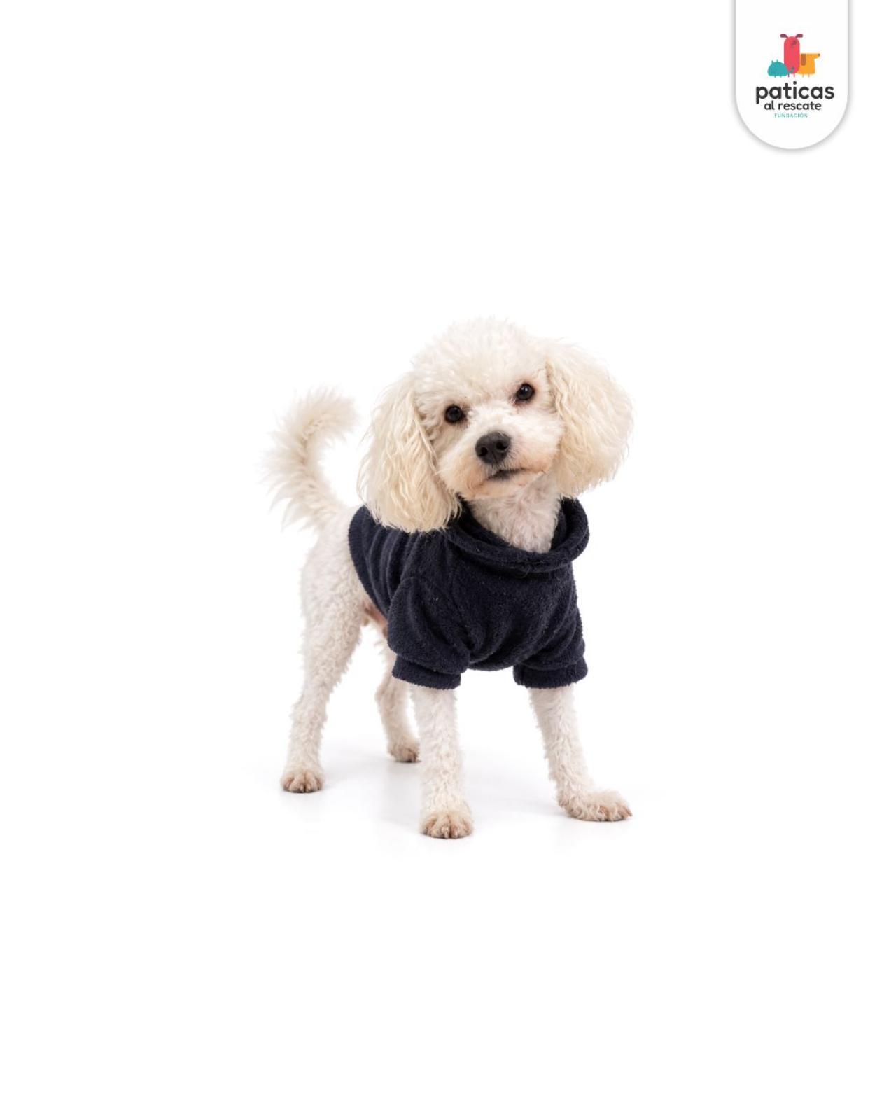 ADOPTA A OVEJITO_5