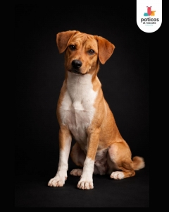 ADOPTA A SERAFÍN_3