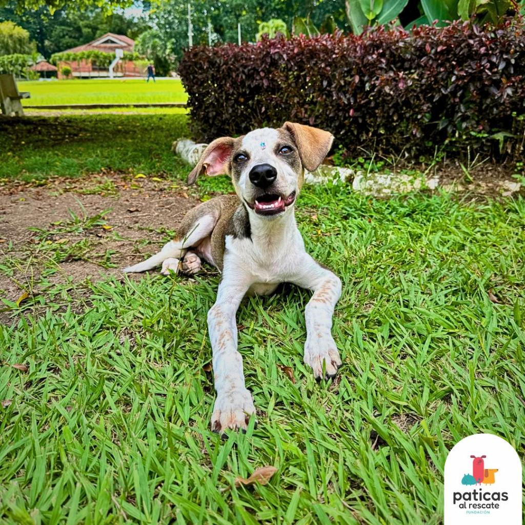ADOPTA A MARGARITA_8